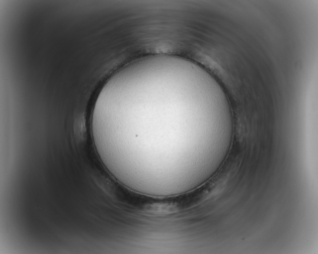 X0000088220251200705292119