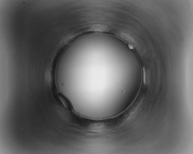 X0000088220252200705292119