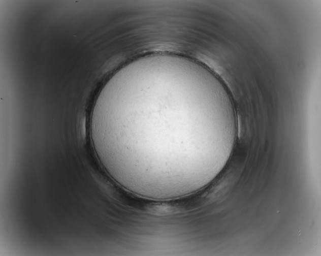 X0000088220253200705292119