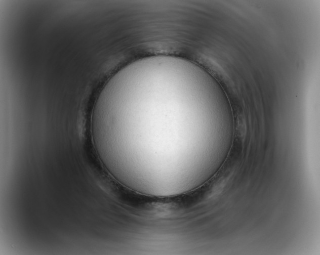 X0000088220255200705292119