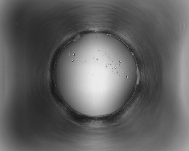 X0000088220256200705292119