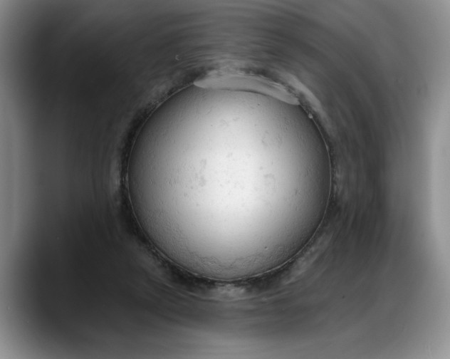 X0000088220257200705292119