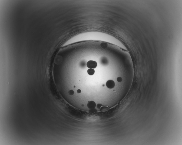 X0000088220258200705292120