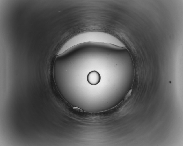 X0000088220260200705292120