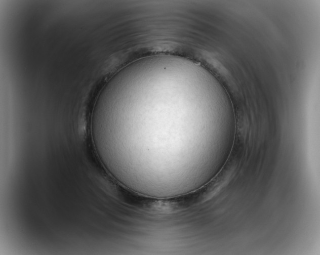 X0000088220261200705292120