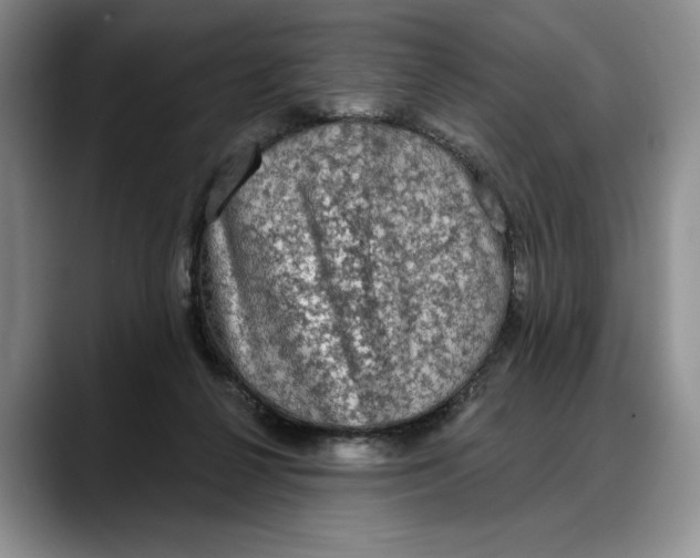 X0000088220264200705292120