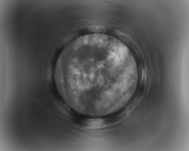 X0000088220266200705292120