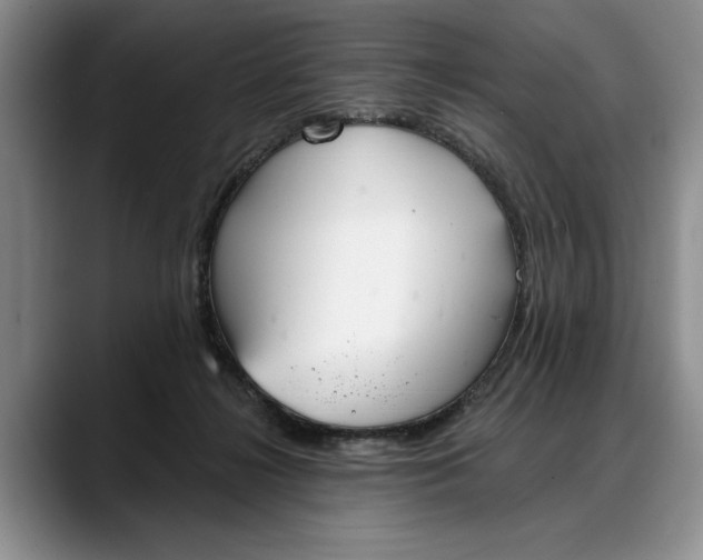 X0000088220268200705292120