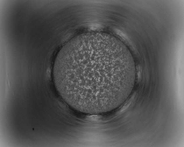 X0000088220269200705292120