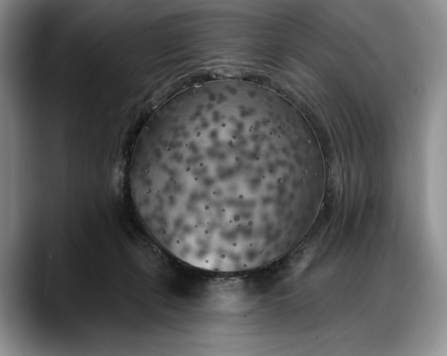 X0000088220271200705292120