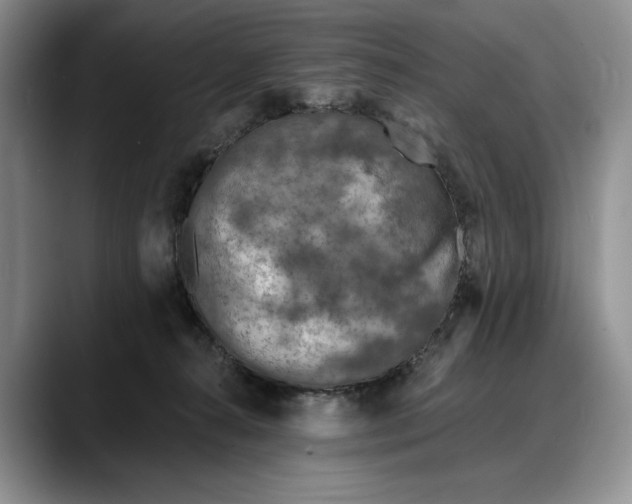 X0000088220272200705292120