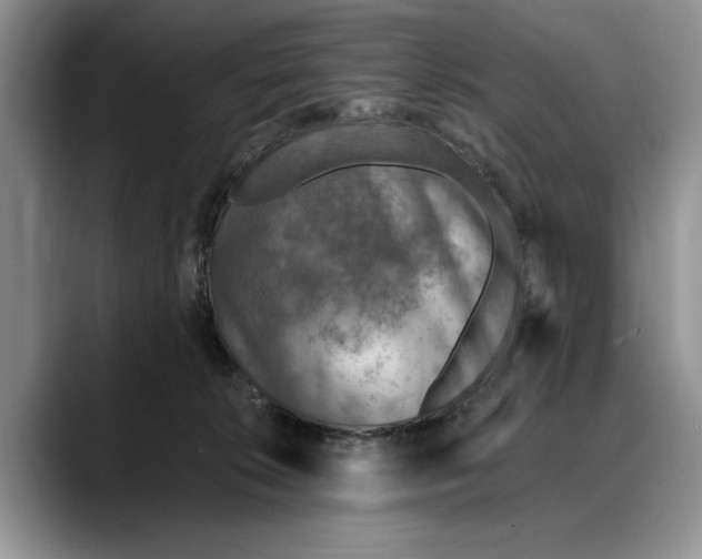 X0000088220276200705292120