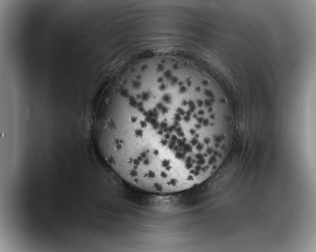 X0000088220277200705292120