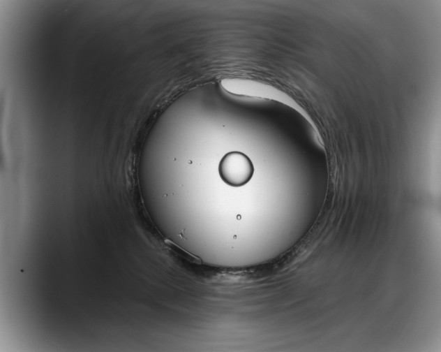 X0000088220280200705292120