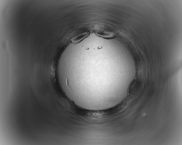 X0000088220282200705292120