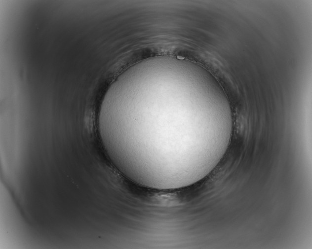 X0000088220283200705292120