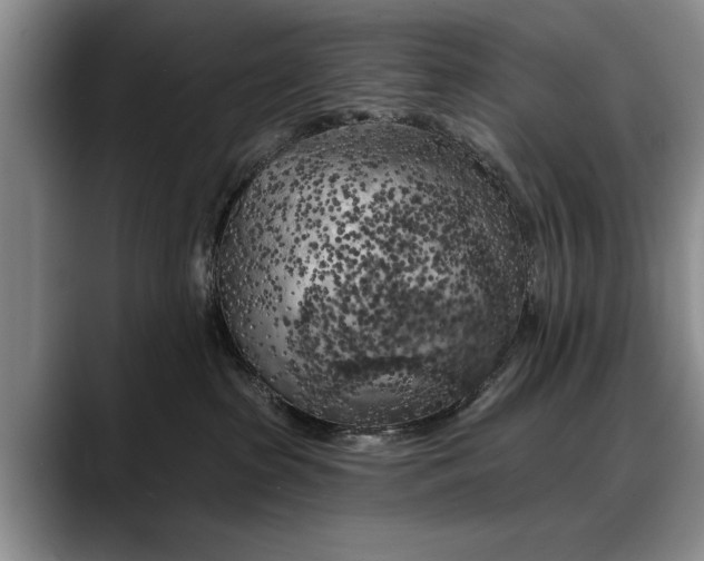 X0000088220285200705292120