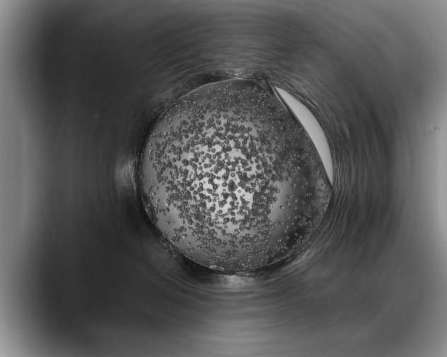 X0000088220286200705292120