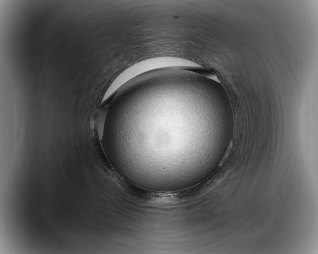 X0000088220288200705292120