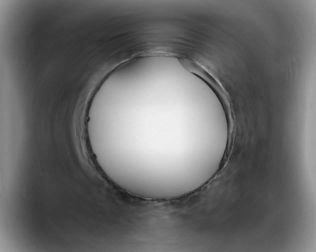 X0000088220289200705292119