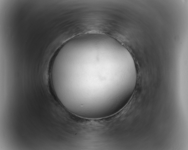 X0000088220290200705292119