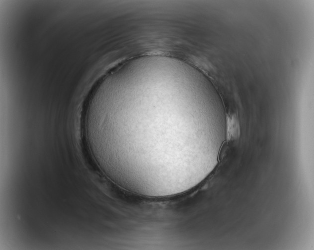 X0000088220291200705292119