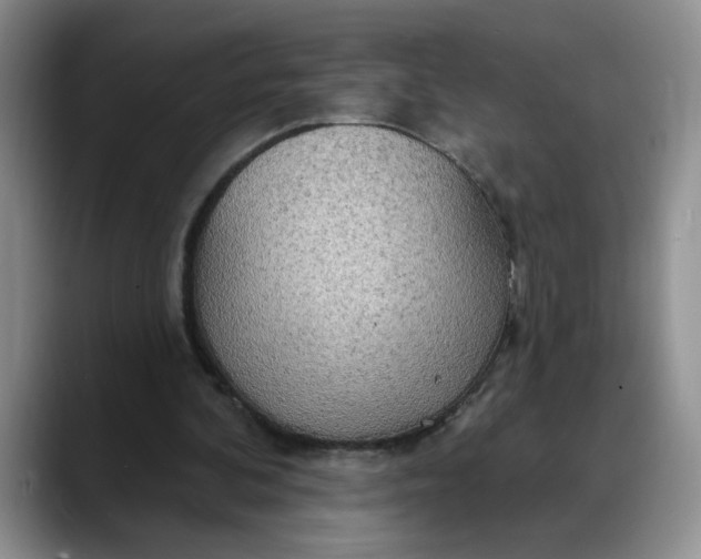 X0000088220292200705292119