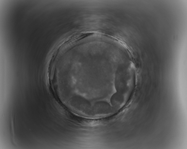 X0000088220293200705292119