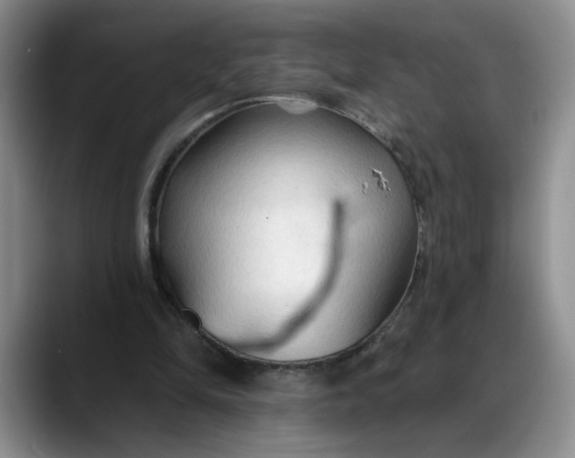 X0000088220294200705292119