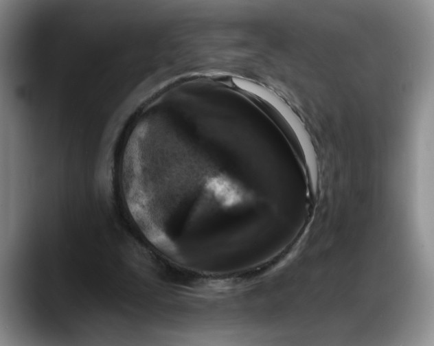 X0000088220295200705292119