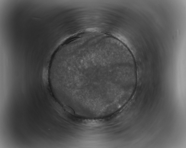 X0000088220297200705292119