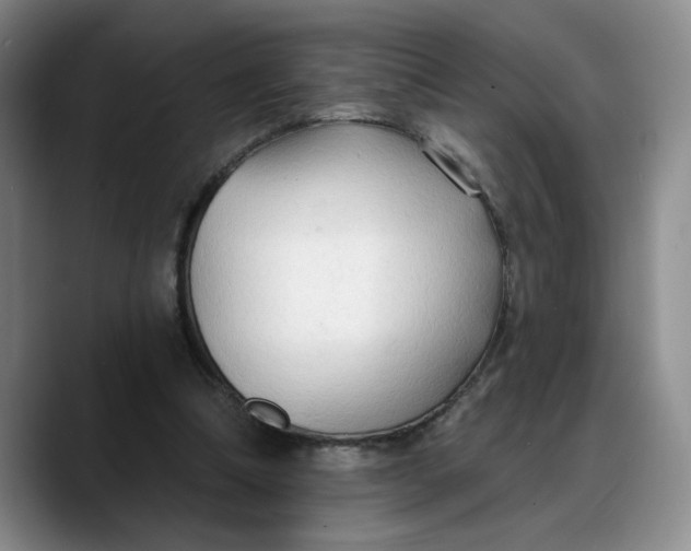 X0000088220298200705292119