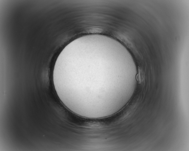 X0000088220300200705292119