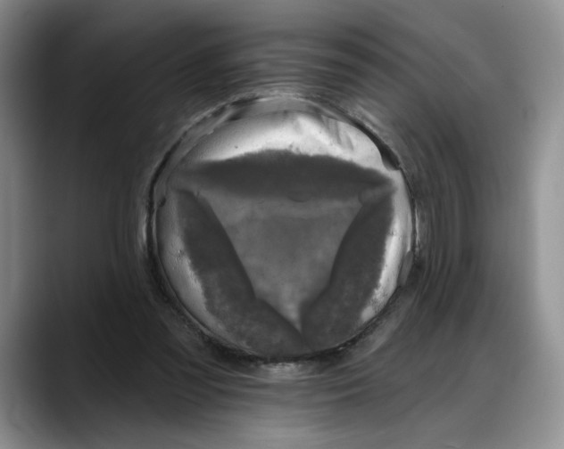 X0000088220301200705292119