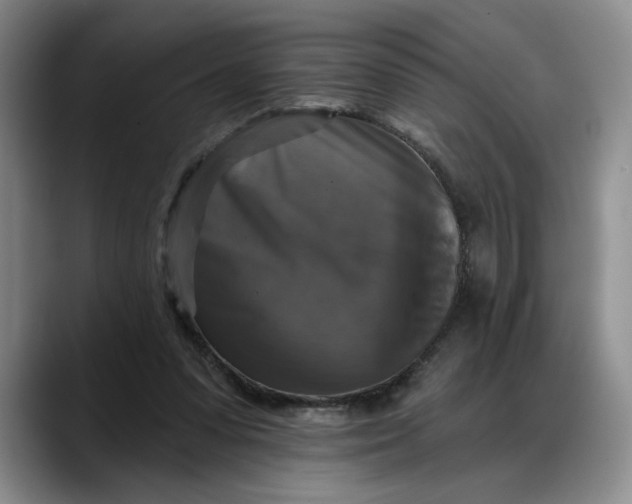 X0000088220303200705292119