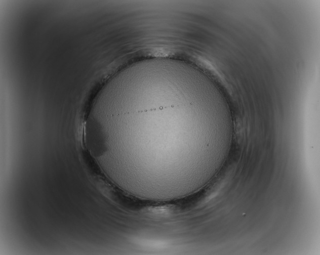 X0000088220307200705292119