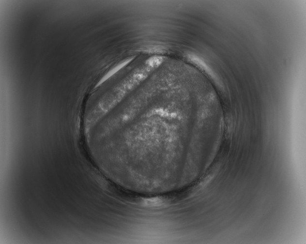 X0000088220309200705292119