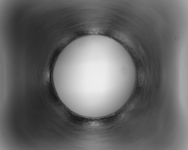 X0000088220310200705292119