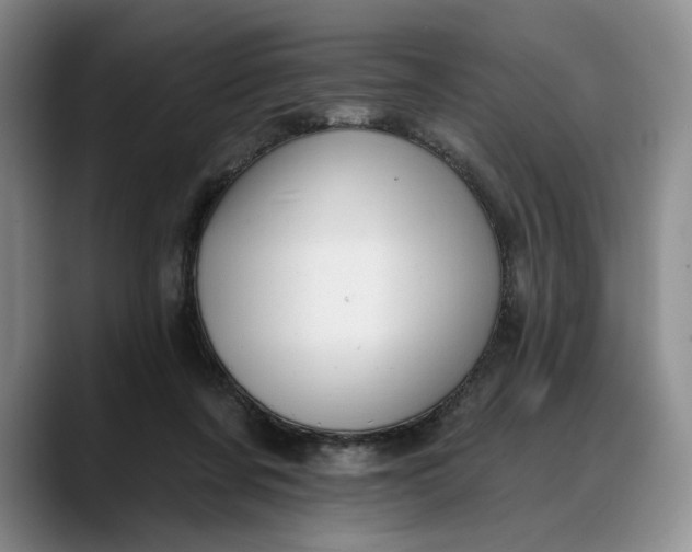 X0000088220311200705292119