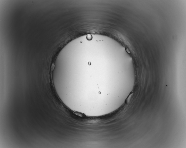 X0000088220313200705292119