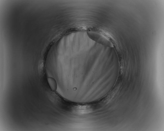 X0000088220314200705292119