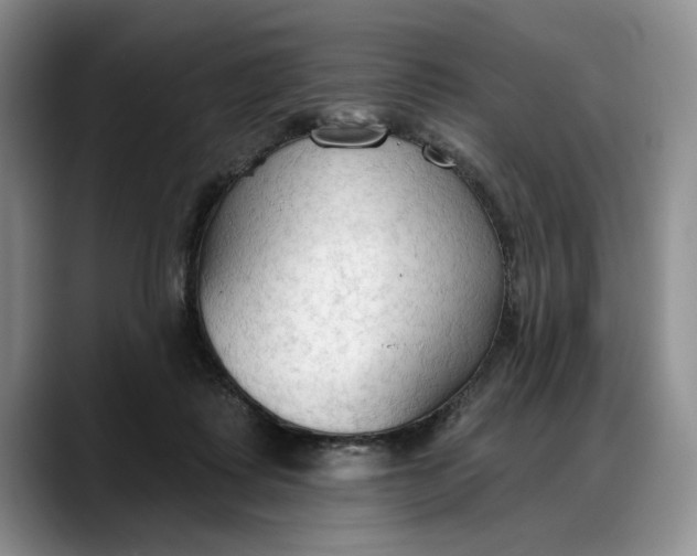 X0000088220315200705292119