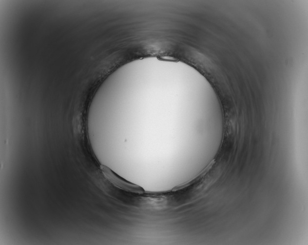 X0000088220317200705292119