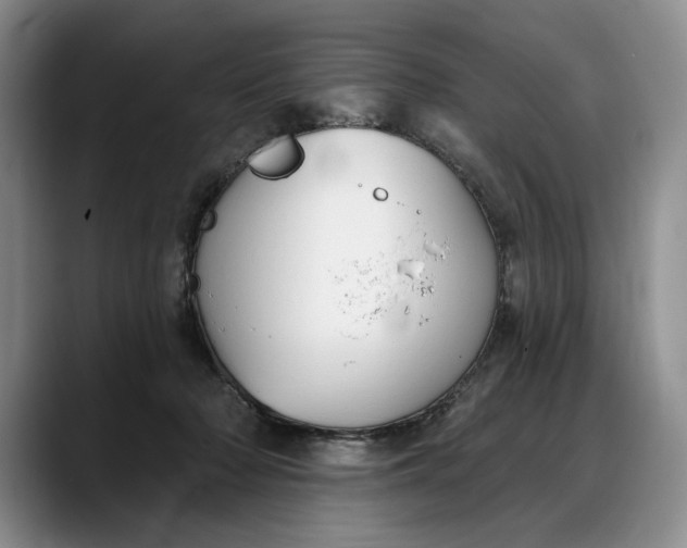 X0000088220318200705292119