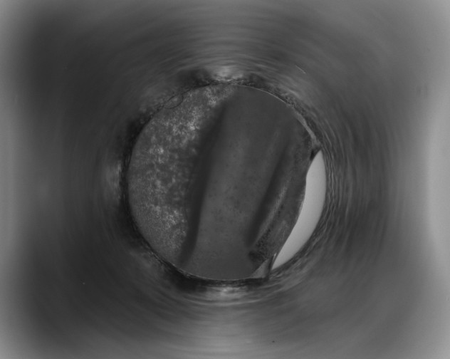 X0000088220319200705292119