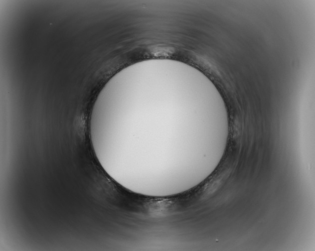 X0000088220321200705292119