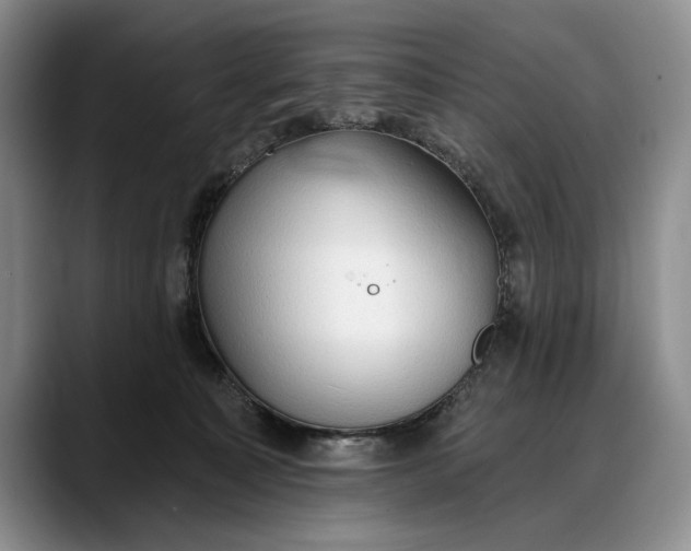 X0000088220323200705292119