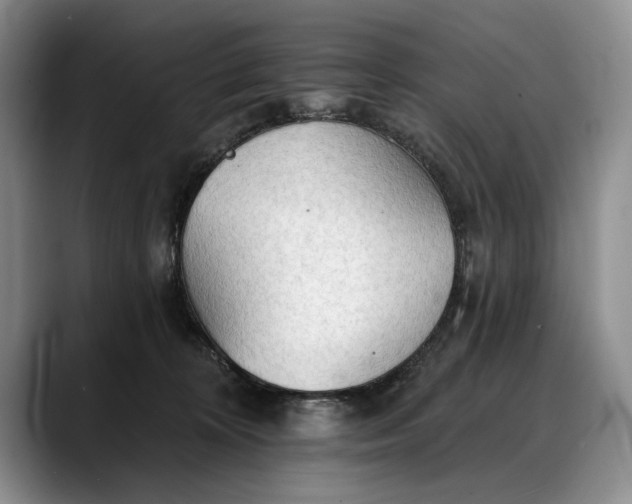 X0000088220324200705292119