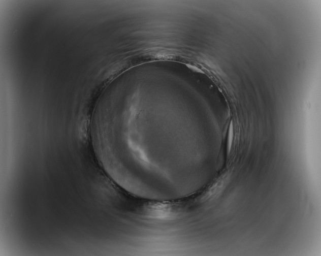 X0000088220325200705292119