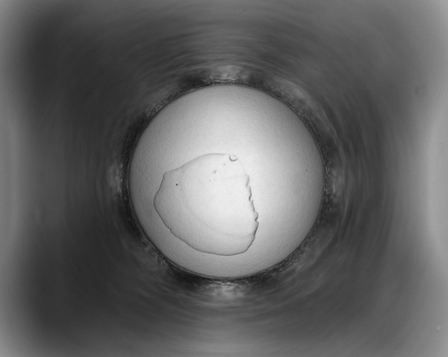 X0000088220326200705292119